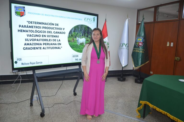 sustentacion_MelissaRojasG